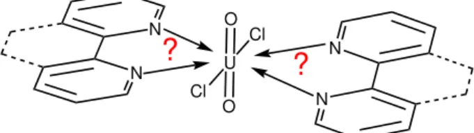 Figure 1.1: Sketch of the ligand-uranium(VI) system investigated within the scope of this thesis.