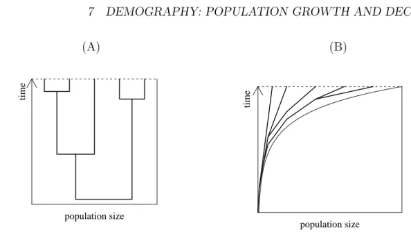 Figure 7.1: (A) The coalescent for a population of constant size and (B) for an expanding population