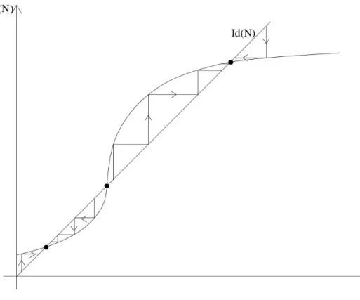 Figure 3: Cobwebbing method to determine the stability of equilibria.