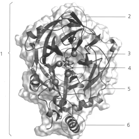 Abb. A 1  Dreidimensionale Darstellung eines Makromoleküls 