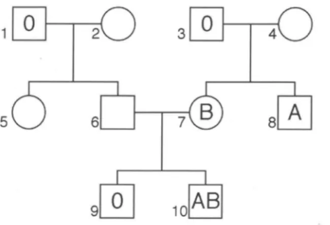 Abb.  D2  Stammbaum einer Familie. 