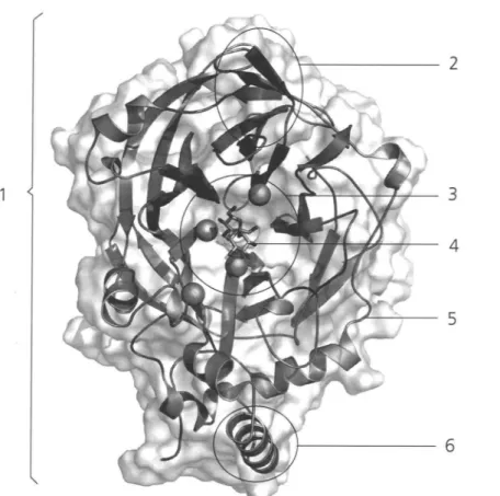 Abb. A 1  Dreidimensionale Darstellung eines Makromoleküls 