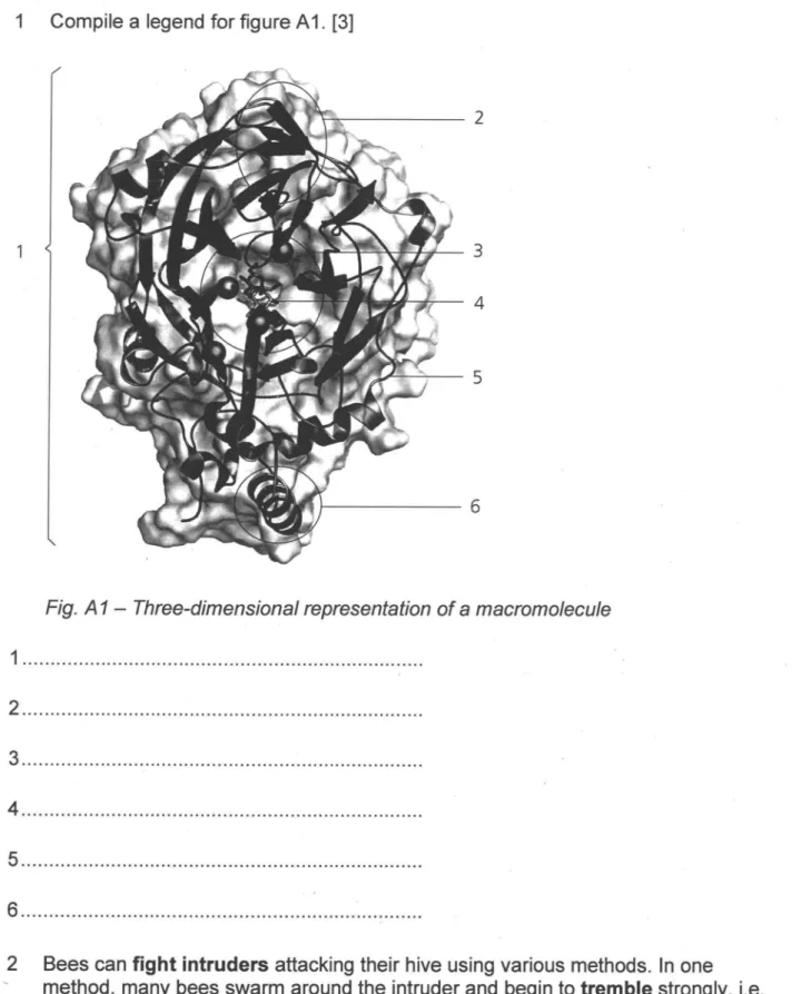 Fig.  A 1-  Three-dimensional representation of  a macromolecule 