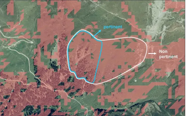 Figure 2: en rouge, pentes entre 28 o  et 50 o . En considérant la zone de décrochement bleue,  la forêt est jugée pertinente (boisement de la zone de décrochement &gt; 20%), alors qu'avec  la zone de décrochement blanche, la même forêt est non pertinente