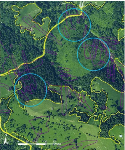 Abbildung 7: Rickli (2001) zeigte, dass sich in Waldarealen mit Jungwald, Schadenflächen  oder aufgelösten Beständen bedeutend mehr Rutschungen pro Hektare ereigneten als in  stufi-gen Mischbeständen mit wenig Lücken und mittleren bis höheren Alters