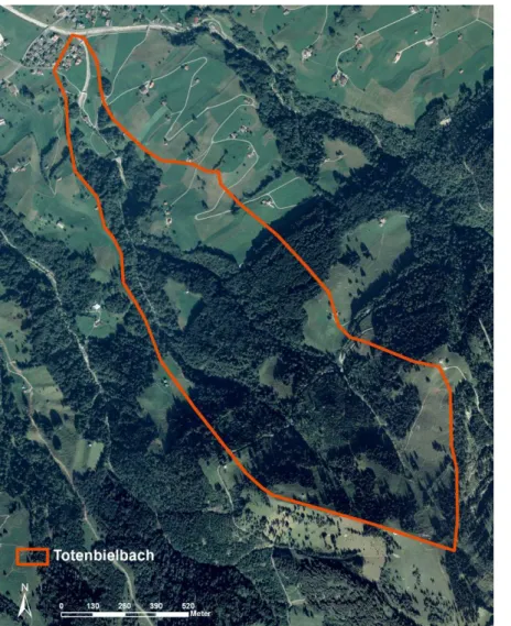 Abbildung 1: Das Einzugsgebiet des Totenbielbachs, oberhalb des Weilers Edisried gilt als  Projektgebiet (Datengrundlage: Orthophotoplan 2005, Landkarte 1:25’00 swisstopo)