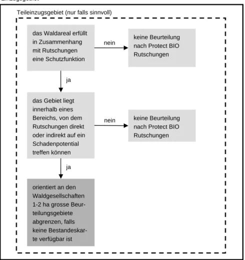 Abbildung 3: Schematische Darstellung der Systemabgrenzung zur Durchführung der Mass- Mass-nahmenbeurteilung von Wald betreffend Schutzwirkung gegen Rutschungen