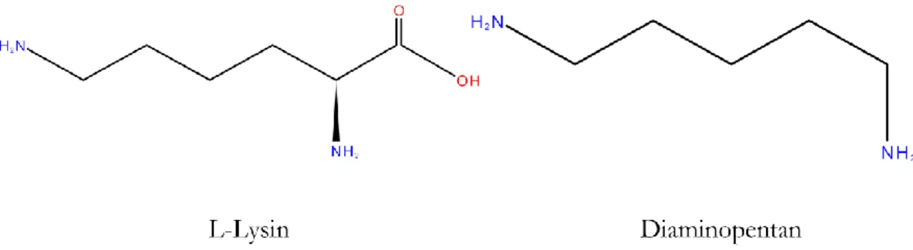 Abbildung 5: Aminosäure L-Lysin und die Polyamid-Vorstufe Diamonopentan