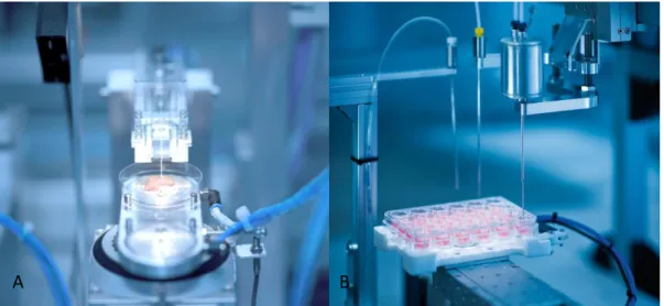 Abbildung 2: Hautfabrik des Fraunhofer IGB. A: Zerkleinerung der Gewebeprobe, B: Kultivierung der 3D- 3D-Hautäquivalente (Foto: Fraunhofer IGB)