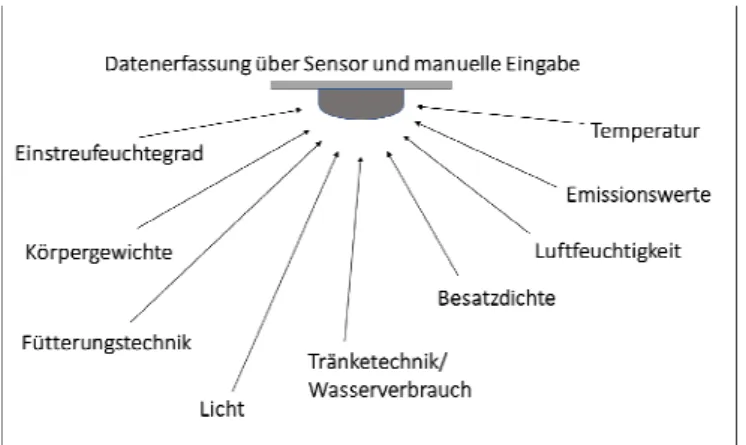 Abb. 1: Datenerfassung in der Putenmast, eigene Darstellung 