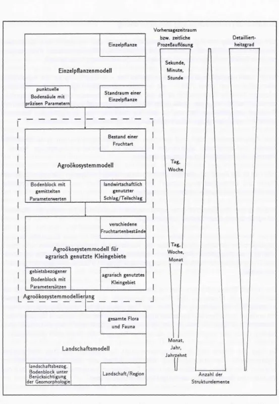 Abb. 1: Einordnung der Agroökosystemmodellierung in die Hierarchie des räumlichen Bezuges von Modellen für Agrarflächen