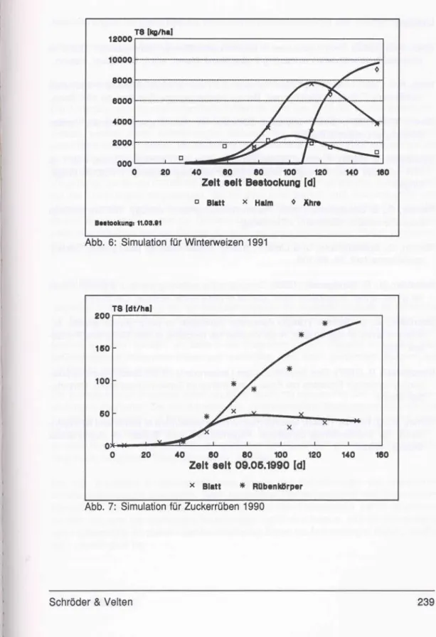 Abb. 6: Simulation für Winterweizen 1991