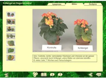 Abb. 1: Screenshot einer Bildseite aus „Ernesto Topfpflanzen“ 