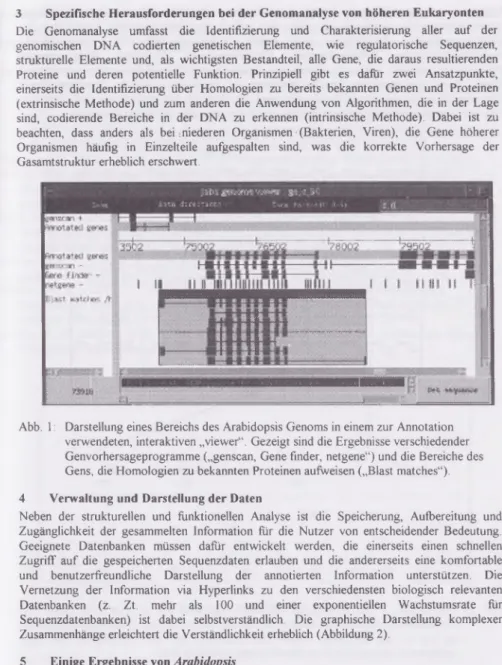 Abb.  1:  Darstellung eines Bereichs des Arabidopsis Genoms in einem zur Annotation verwendeten,  interaktiven „viewer“