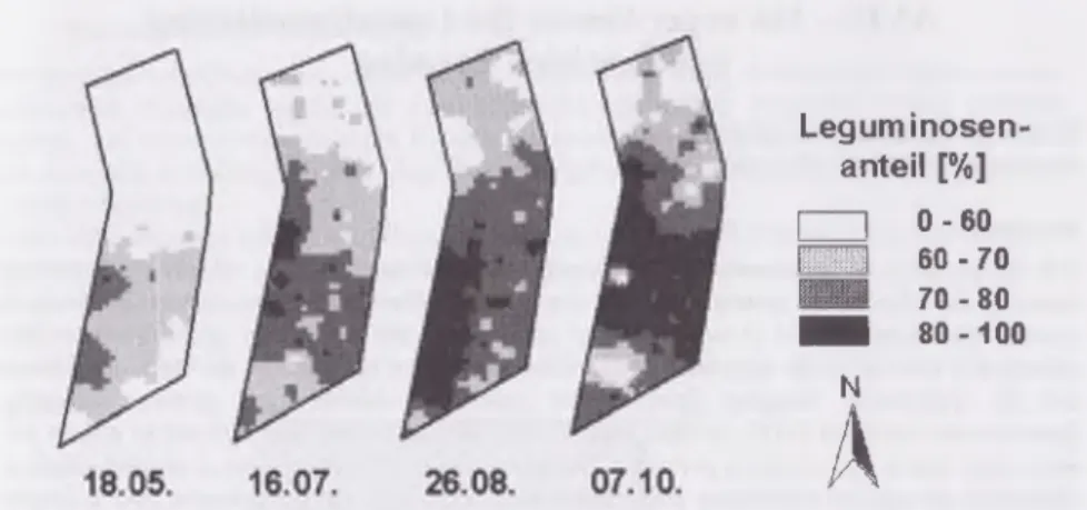 Abb.  2:  Verteilung  des  mit  NIRS  gemessenen  Leguminosenanteiles  in  Klee-Luzerne-Gras  zu  vier  Nutzungen  im  A09,  1999