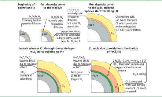 Figure 2:  Chlorine cycle in the interface layers between tube scale and deposits (not true to scale) As described before, chlorine can be cycled in the described mechanism