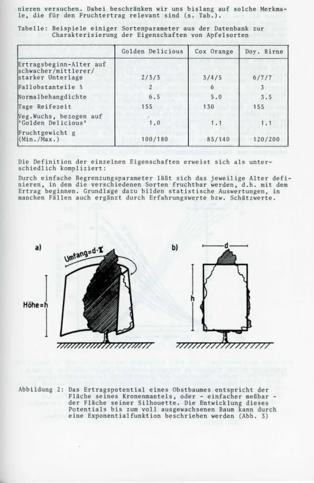 Abbildung 2: Das Ertragspotential eines Obstbaumes entspricht der Fläche seines Kronenmantels, oder  einfacher meßbar  -der Fläche seiner Silhouette