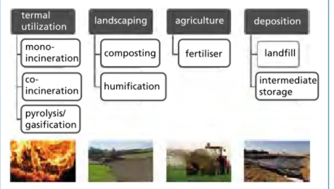 Figure 1 shows the different possibilities of sewage sludge disposal and utilization. 