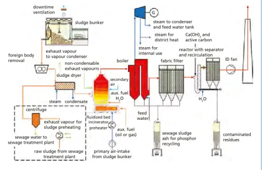 Figure 3:   Sketch of mono-combustion plant