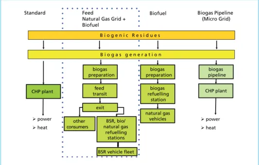 Figure 3:  different concepts of biogas utilisation