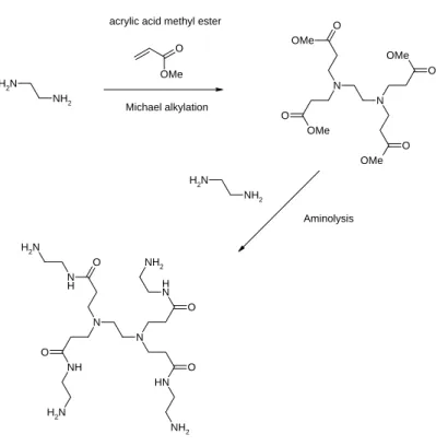 Figure 2.3: PAMAM-NH 2 synthesis by divergent strategy as invented by Tomalia and co-workers [7].