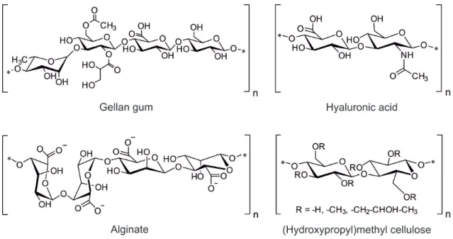 Figure  2.2.  Chemical structures of selected polymers from natural sources commonly used for the  preparation of hydrogels