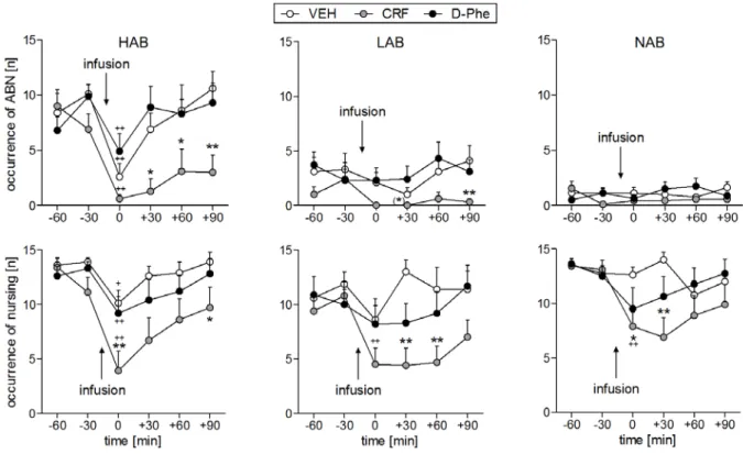 Figure 10. Effect of CRF-R manipulation on maternal care of lactating HAB, LAB, and NAB dams in  the home cage
