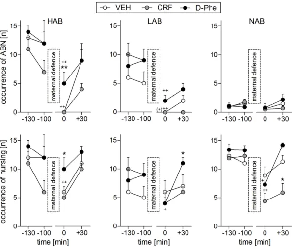 Figure 11. Effect of CRF-R manipulation followed by the maternal defense test on maternal care  of lactating HAB, LAB, and NAB dams