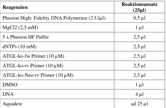 Tabelle 2.2 PCR- Protokoll für die Genotypisierung von ATGL-KO Mäusen 