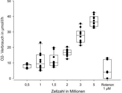 Abbildung 3.1: Sauerstoffverbrauch in gesunden Milzzellen in Abhängigkeit von der Zellzahl  Mit steigender Zellzahl erhöht sich der Sauerstoffverbrauch in gesunden Milzzellen