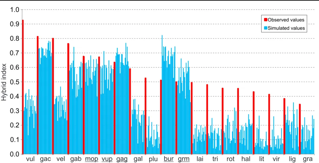 Figure  7  -  Hybrid  index  values.  The  red  bar  is  a  hybrid  index  obtained  from  real  gene  trees  and  blue  bars  represent  hybrid  index  values  obtained  from  gene  trees  simulated  using  only  incomplete  lineage  sorting  (ILS)  influ