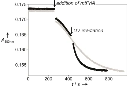 Figure 3. Change in mtPriA activity upon ring-closure of compound 6. The turnover of 5 µM ProFAR  was followed  photometrically at  300 nm  in  the  presence  of 4  µM  6 in its open form  under  typical  assay conditions (25 °C, 50 mM Tris/acetate pH 8.5,