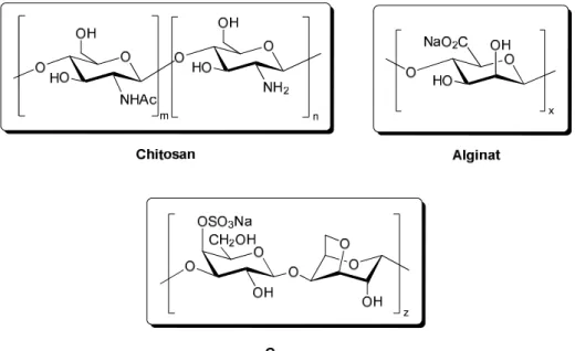 Abbildung 1. Wiederholungseinheiten, der in dieser Arbeit verwendeten Polysaccharide. 