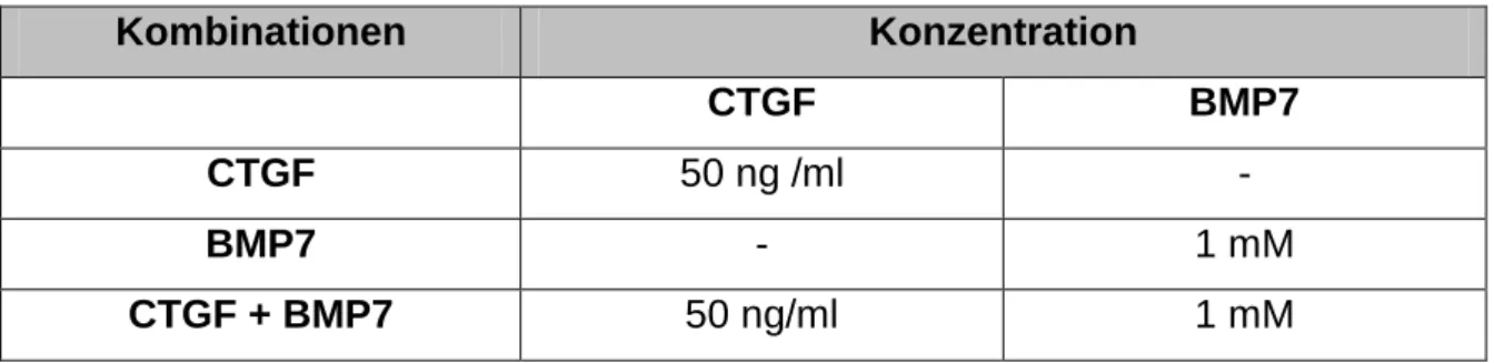 Tabelle 3 - 20:  Übersicht der Kombinationsbehandlungen von CTGF und BMP7 an 661-W-Zellen  