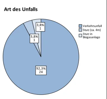 Abb. 7 – Übersicht über die Unfallarten 