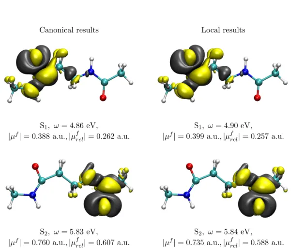 Figure 2.2: Canonical and local orbital-relaxed density differences between the two lowest singlet excited states and the ground state of the β-Dipeptide molecule (cc-pVDZ basis set).