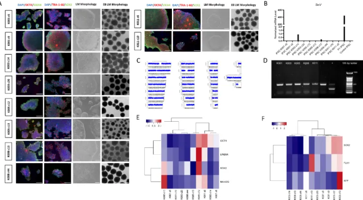 Fig. 1. Quality control of generated induced pluripotent stem cells (iPSCs) from 10 control lines
