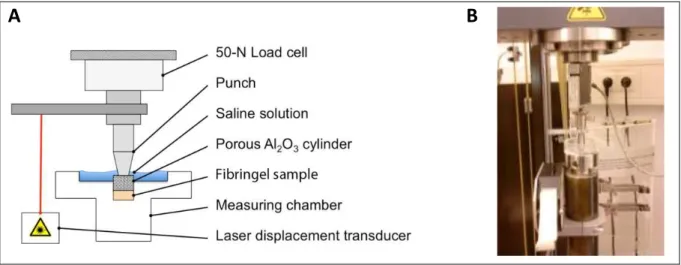 Figure 9: Setup for biomechanical tests 