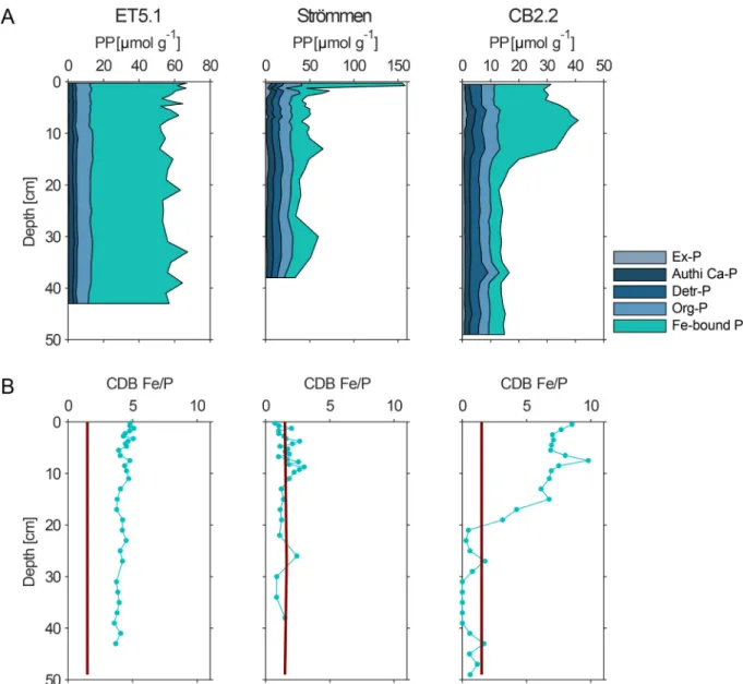 Fig. 4. A: Depth profiles of sediment phosphorus forms at ET5.1, Str ¨ ommen and CB2.2