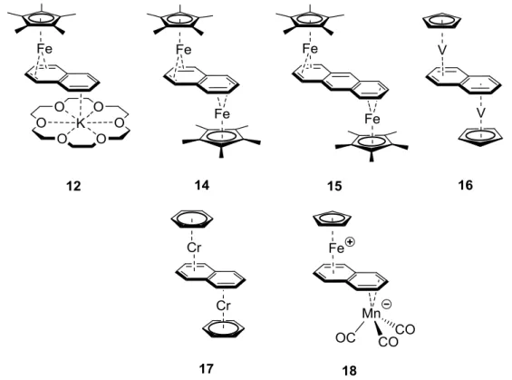 Figure 2. Schematic representation of mono- and bimetallic transition metal complexes 12 and 1418