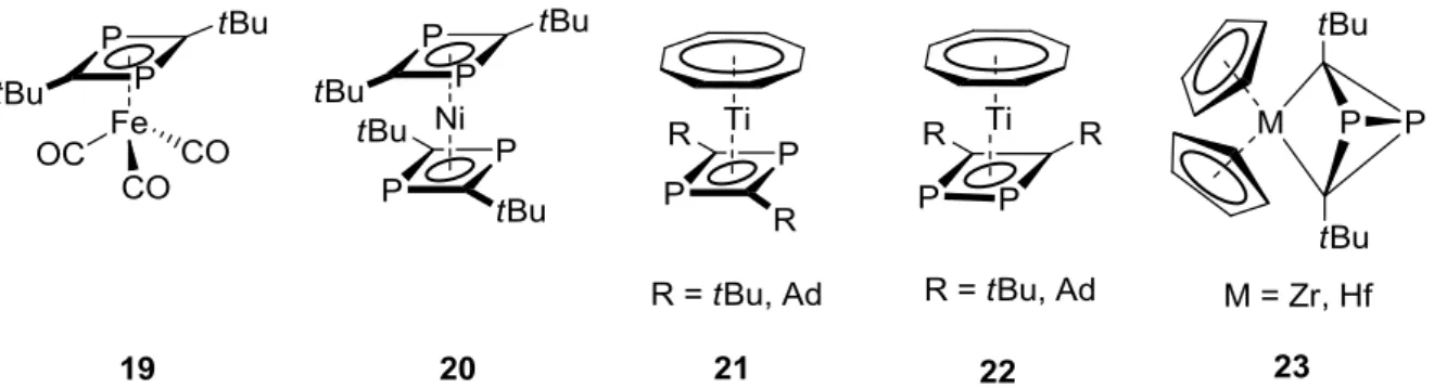 Figure 3. Important examples of transition metal complexes of 1,3- and 1,2-diphosphacyclobutadienes (19-22)  and the 1,3-diphosphabicyclo[1.1.0]butanediyl ligand (23)