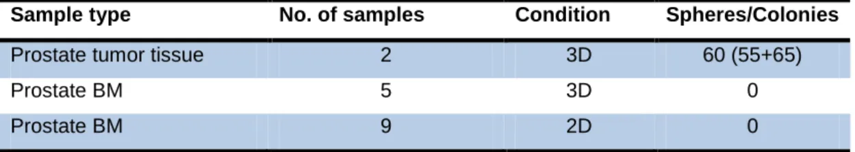 Table 3: EpCAM and CK8/18 status of patient BM samples. 