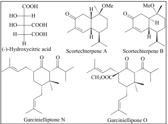 Figure 13.  (-)-Hydroxycitric acid and terpenoids from some Garcinia species 