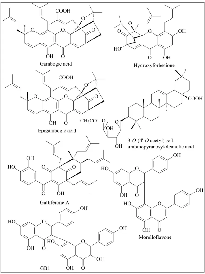 Figure 17.  Some compounds from the genus Garcinia with cytotoxic activity 