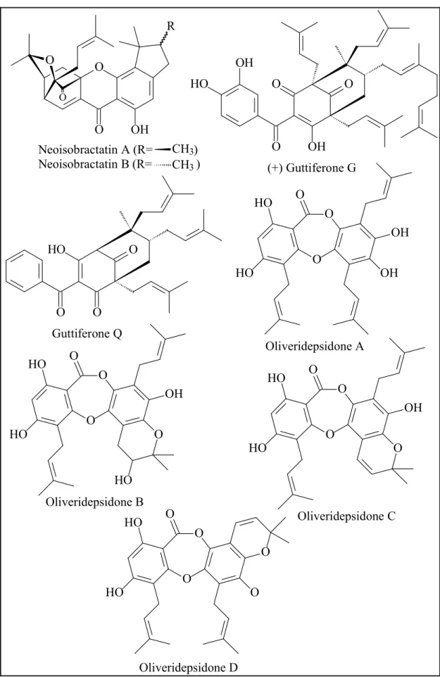 Figure 20.  Compounds with different bioactivities from some Garcinia species  collected in Vietnam 