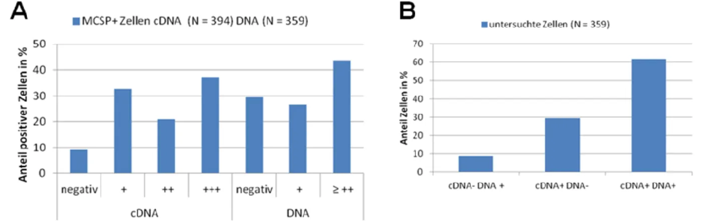 Abbildung 16: Qualitätsbestimmung von cDNA und DNA der isolierten MCSP+ Zellen 