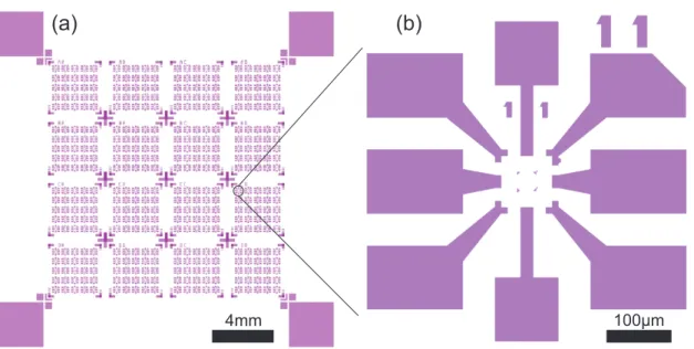 Figure 2.2: (a) Optical mask structure to define bond pads, coarse leads and labeling on a 16 × 16 mm chip