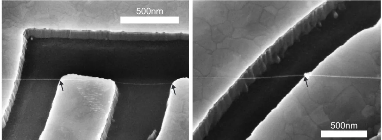 Figure 2.5: Tilted SEM picture of CNTs suspended between rhenium contacts after a successful overgrowth process.