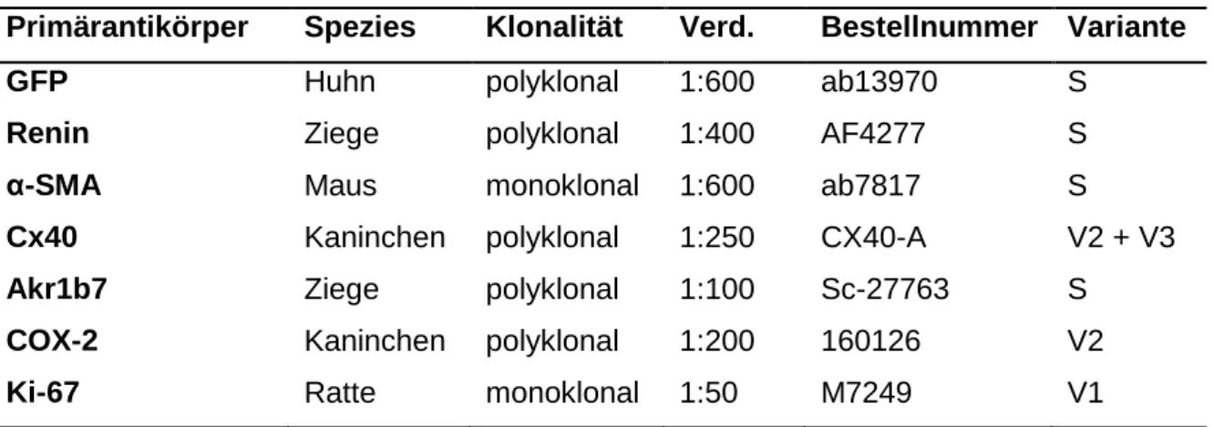 Tabelle 1: Verwendete Primärantikörper für Immunfluoreszenzfärbungen 