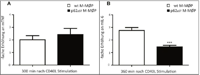 Abbildung 18: mTNF- und mIL-6- Sekretion nach CD40 Stimulation in wt und p62ΔSTM-MØPs 